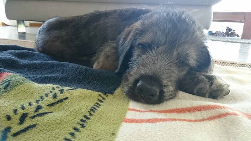 Detailansicht Kur Reha Gmbh