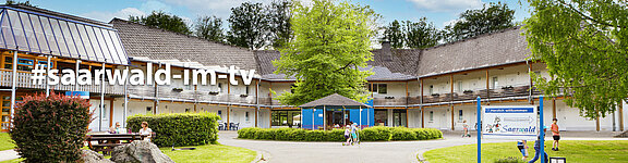 tv-saarwald_09112021.jpg