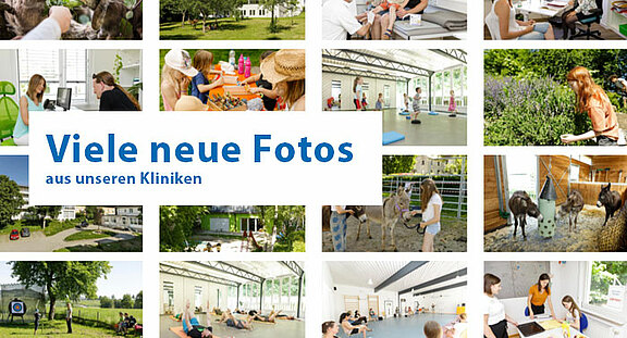 vieleneuefotos-verschiedene.jpg